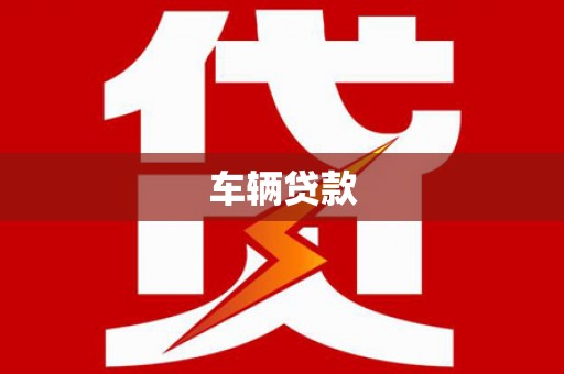 安国车辆贷款