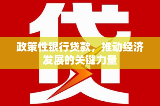 安国政策性银行贷款，推动经济发展的关键力量