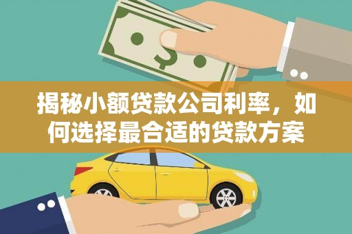 安国揭秘小额贷款公司利率，如何选择最合适的贷款方案