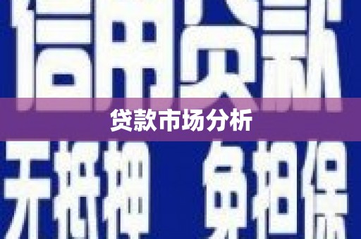 安国贷款市场分析