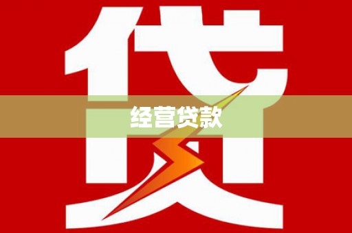 安国经营贷款
