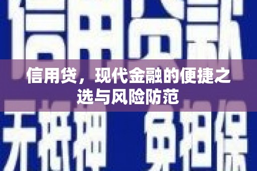 安国信用贷，现代金融的便捷之选与风险防范