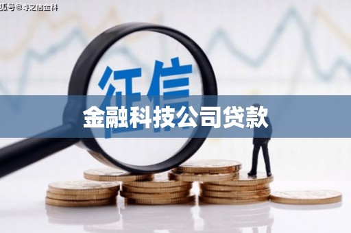 安国金融科技公司贷款
