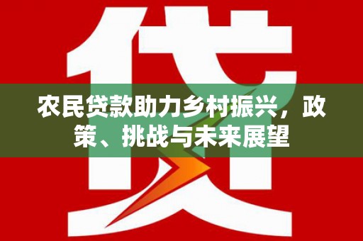 安国农民贷款助力乡村振兴，政策、挑战与未来展望