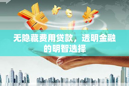 安国无隐藏费用贷款，透明金融的明智选择