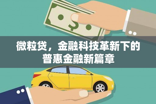 安国微粒贷，金融科技革新下的普惠金融新篇章