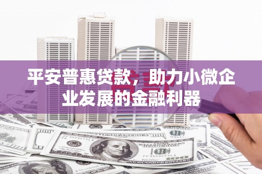 安国平安普惠贷款，助力小微企业发展的金融利器