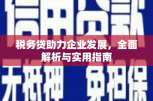 安国税务贷助力企业发展，全面解析与实用指南