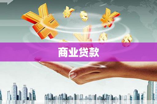 安国商业贷款
