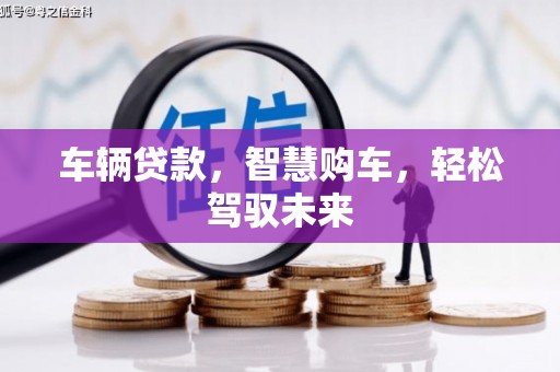 安国车辆贷款，智慧购车，轻松驾驭未来