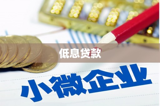安国低息贷款