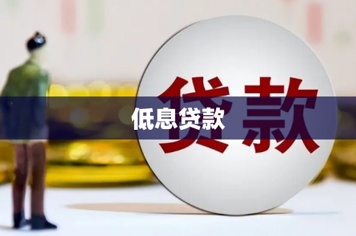 安国低息贷款