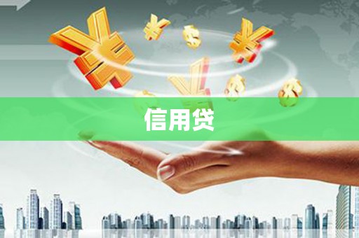 安国信用贷