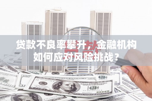 安国贷款不良率攀升，金融机构如何应对风险挑战？
