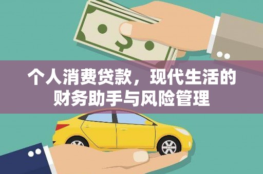 安国个人消费贷款，现代生活的财务助手与风险管理