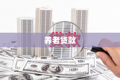 安国养老贷款