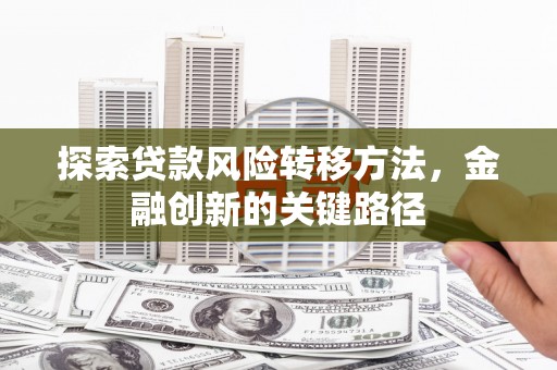 安国探索贷款风险转移方法，金融创新的关键路径