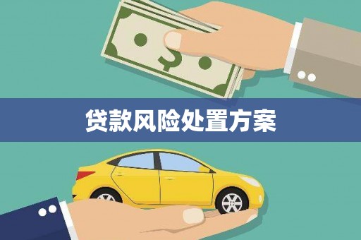 安国贷款风险处置方案
