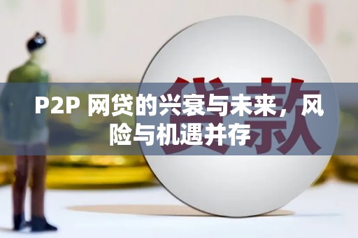 安国P2P 网贷的兴衰与未来，风险与机遇并存
