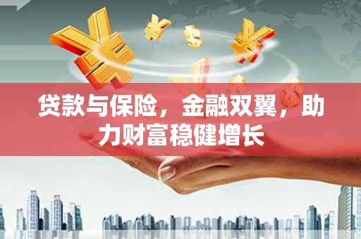 安国贷款与保险，金融双翼，助力财富稳健增长
