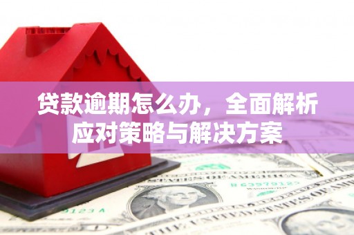 安国贷款逾期怎么办，全面解析应对策略与解决方案