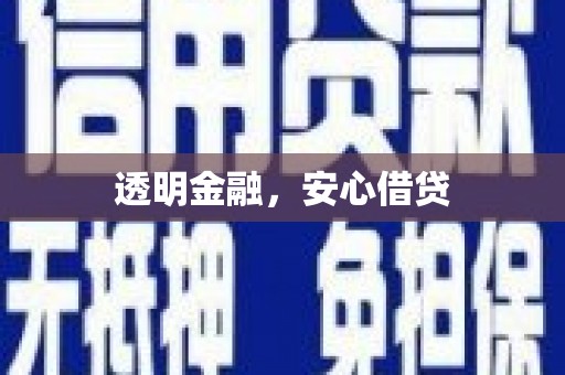 安国透明金融，安心借贷