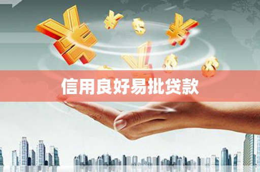安国信用良好易批贷款
